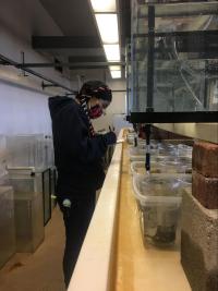 Girl writing in lab with containers