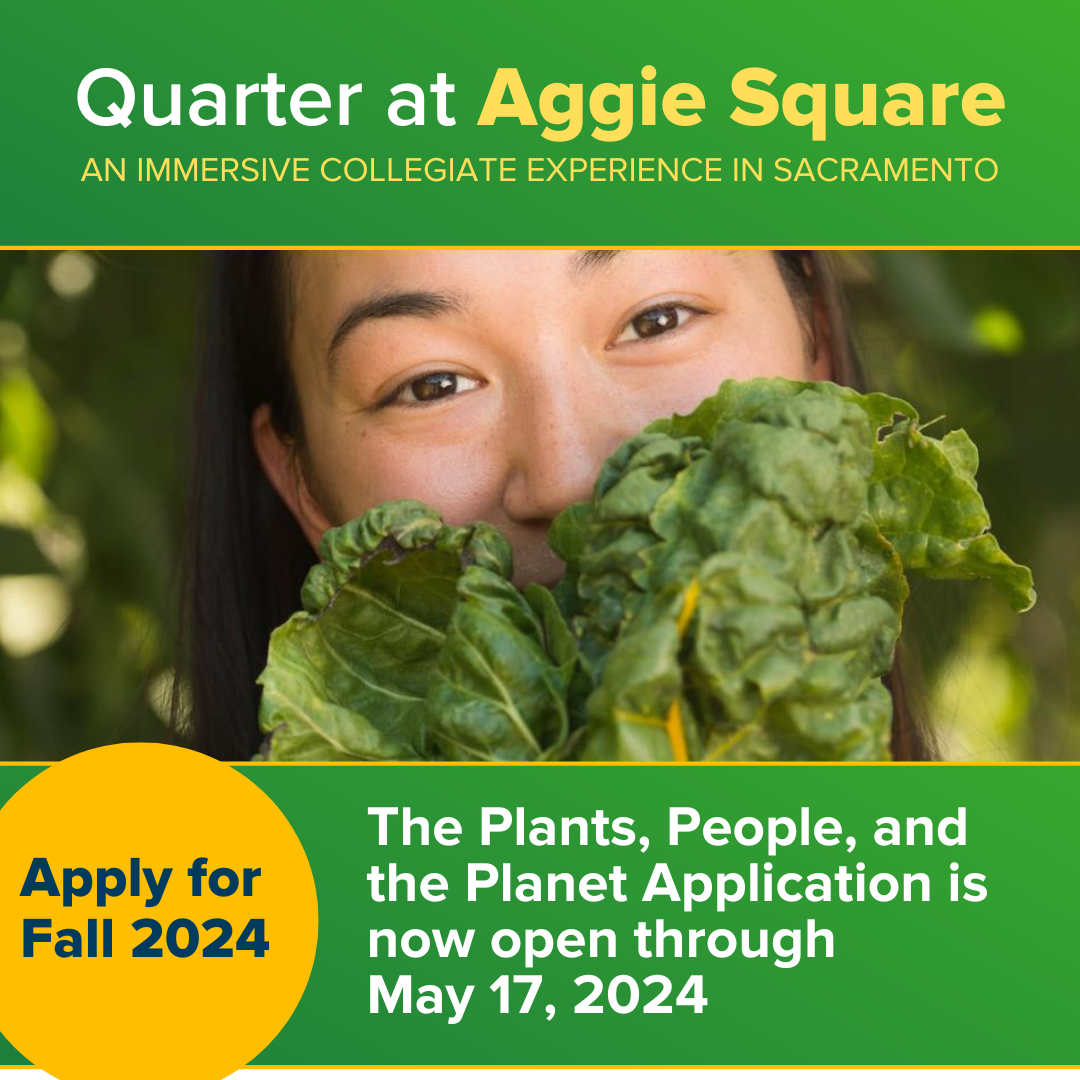 The PPP application closes May 17, 2024. The graphic includes a header on this info and a person holding a plant.