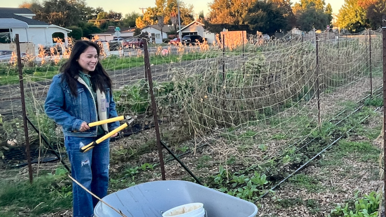 B’Elanna Pho working at the We Grow Urban Farms internship.